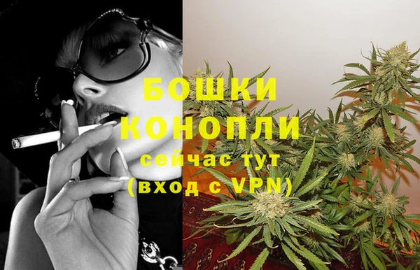 прущие грибы Володарск
