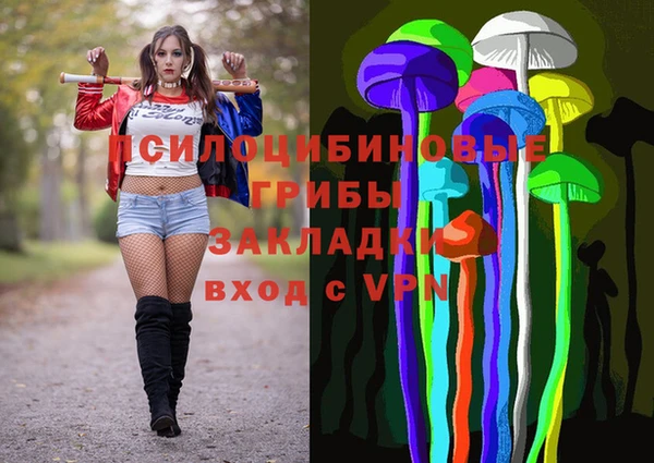 ПСИЛОЦИБИНОВЫЕ ГРИБЫ Волосово