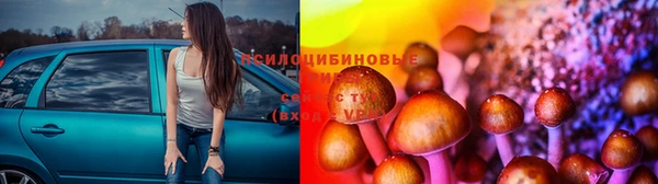 прущие грибы Володарск