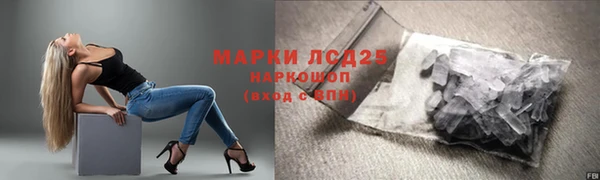 прущие грибы Володарск