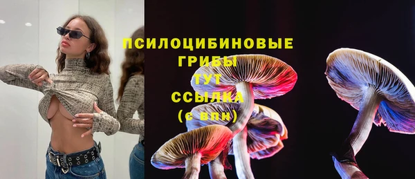 ПСИЛОЦИБИНОВЫЕ ГРИБЫ Волосово