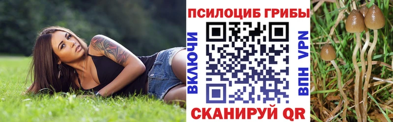 Псилоцибиновые грибы прущие грибы  Уфа 